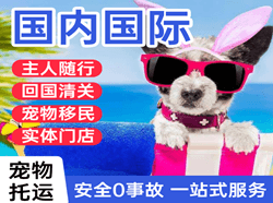 右旗巴丹吉林机场快递国际宠物托运 【国